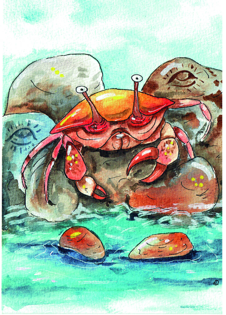 krab kopiëren
